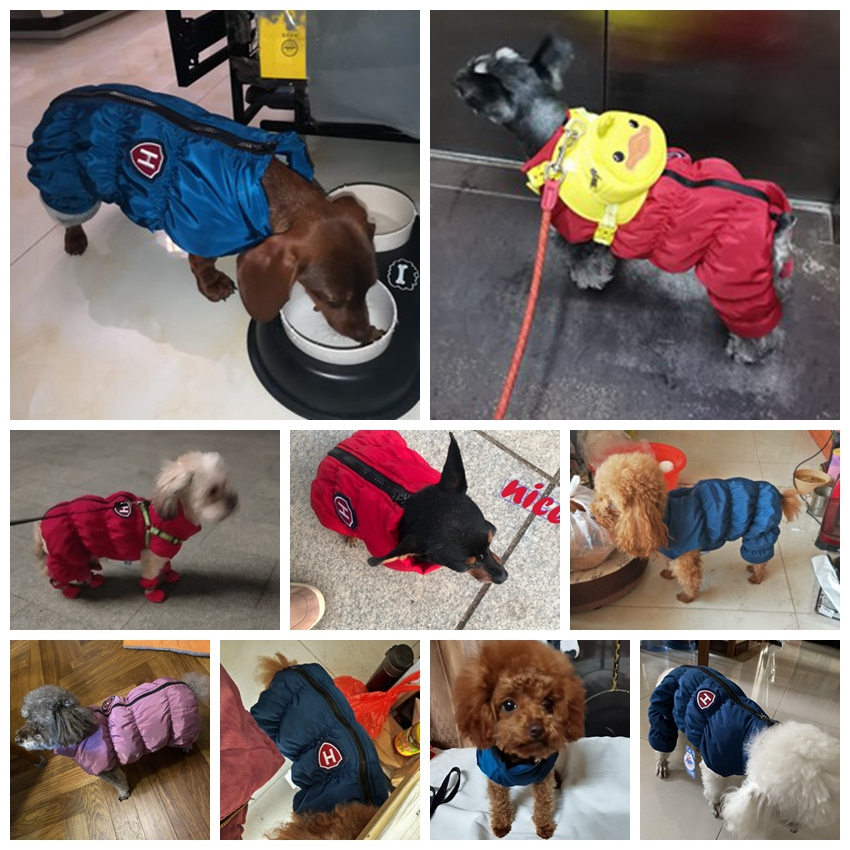 ซิปหิมะ Unisex สุนัขกันน้ํา Ov - Baby Clothing Zipper บทวิจารณ์และราคา